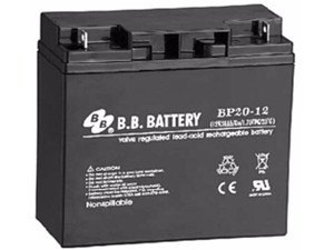 BB蜜桃视频在线网站免费看EVP